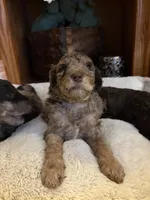 processed/7e7c004c-0b35-4ef0-8954-d0864898e209/listing/131f5a55-aaee-4166-a543-926a2a379717/537b7a11-3965-472a-b0dc-60dcf7e92d00