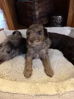 processed/7e7c004c-0b35-4ef0-8954-d0864898e209/listing/131f5a55-aaee-4166-a543-926a2a379717/a8fdce5d-dc59-4450-a439-b5eea6290c8f