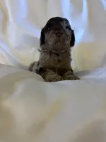 processed/7e7c004c-0b35-4ef0-8954-d0864898e209/listing/25eae8e8-b6ff-40ce-8939-741bcd273173/3bc628cb-4331-4ba8-ac3b-24915bed4250