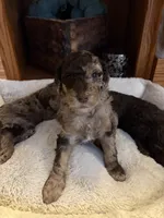 processed/7e7c004c-0b35-4ef0-8954-d0864898e209/listing/25eae8e8-b6ff-40ce-8939-741bcd273173/4cbc6157-c1fb-4396-a9cc-a0280e842412