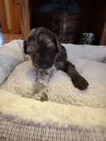 processed/7e7c004c-0b35-4ef0-8954-d0864898e209/listing/73cac053-0a6d-4959-8406-dc94a7f7ac19/ab90d744-8771-4437-9885-476516617ab6