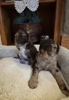 processed/7e7c004c-0b35-4ef0-8954-d0864898e209/listing/73cac053-0a6d-4959-8406-dc94a7f7ac19/dbdd8623-9de4-431a-8c01-98534752f8c9