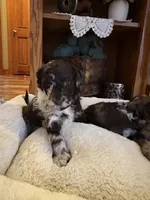 processed/7e7c004c-0b35-4ef0-8954-d0864898e209/listing/9d335727-f30d-435e-944c-56520b4a5a1b/043a2e32-555d-486a-a0c4-2a24454b95a2