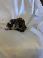 processed/7e7c004c-0b35-4ef0-8954-d0864898e209/listing/9d335727-f30d-435e-944c-56520b4a5a1b/be587631-965c-4151-84ce-289bf87fd2c4