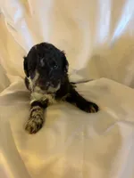 processed/7e7c004c-0b35-4ef0-8954-d0864898e209/listing/9d335727-f30d-435e-944c-56520b4a5a1b/ee36f2a2-07ba-4803-a067-ea58585afebd