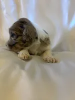 processed/7e7c004c-0b35-4ef0-8954-d0864898e209/listing/b8c2903f-04b5-497b-9912-cfe61019337e/54b43d32-231a-4232-9c75-1a9e4895b8e9