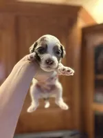 processed/7e7c004c-0b35-4ef0-8954-d0864898e209/listing/b8c2903f-04b5-497b-9912-cfe61019337e/64640930-1821-423f-958f-fcccbd765d81