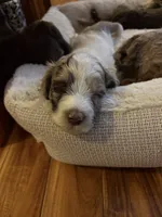 processed/7e7c004c-0b35-4ef0-8954-d0864898e209/listing/b8c2903f-04b5-497b-9912-cfe61019337e/f4cc28d8-2b48-45d7-afb6-c9a131f7d9e4