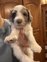 processed/7e7c004c-0b35-4ef0-8954-d0864898e209/listing/b8c2903f-04b5-497b-9912-cfe61019337e/f6bbab37-a2c9-4a0a-8b0d-4354e6dc1066