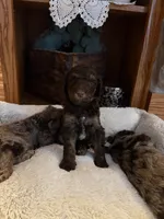 processed/7e7c004c-0b35-4ef0-8954-d0864898e209/listing/b97637b8-15b4-43c1-8442-e90c358df5f6/f32db3dd-e505-4811-bf96-bff64e2ea095