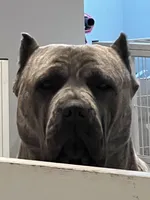 processed/7e852c07-8344-44d5-aaf2-30305dbd89d7/facility/23fde1a3-454c-48ad-8e1d-48455918e618