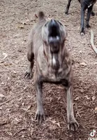 processed/7e852c07-8344-44d5-aaf2-30305dbd89d7/facility/529bc74e-aef6-4226-8209-057dcff3ca83