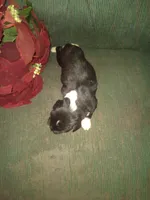 processed/7e9575a0-d274-4bbc-803d-a863c56f2bfc/listing/17860f4b-587c-4d08-b742-5d1b4c0724ec/57a6e02c-076e-4aa4-97f1-96b70b8f6875