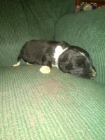 processed/7e9575a0-d274-4bbc-803d-a863c56f2bfc/listing/17860f4b-587c-4d08-b742-5d1b4c0724ec/9435f000-980b-4554-b8f6-d9e0c37a9f38