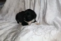 processed/7e9575a0-d274-4bbc-803d-a863c56f2bfc/listing/17860f4b-587c-4d08-b742-5d1b4c0724ec/9d7dcb7d-c02e-4e85-987b-18a37874980d