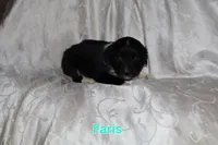 processed/7e9575a0-d274-4bbc-803d-a863c56f2bfc/listing/17860f4b-587c-4d08-b742-5d1b4c0724ec/ee738707-15c5-4cd0-8c9c-3a435986847e