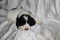 processed/7e9575a0-d274-4bbc-803d-a863c56f2bfc/listing/21e7fc93-097d-410d-b767-e02a9dedbb6b/036545f5-9707-4126-9790-eeb416c5da2a