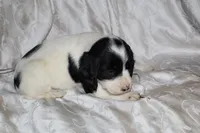 processed/7e9575a0-d274-4bbc-803d-a863c56f2bfc/listing/21e7fc93-097d-410d-b767-e02a9dedbb6b/33f712aa-4a26-4266-892c-10c08b946582