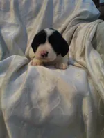 processed/7e9575a0-d274-4bbc-803d-a863c56f2bfc/listing/21e7fc93-097d-410d-b767-e02a9dedbb6b/73e2834e-dc3f-4eb3-a5dd-4a62b5eee321