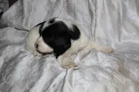 processed/7e9575a0-d274-4bbc-803d-a863c56f2bfc/listing/21e7fc93-097d-410d-b767-e02a9dedbb6b/c1ce8d18-906e-4237-9193-d4bdf0bc843a