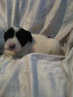 processed/7e9575a0-d274-4bbc-803d-a863c56f2bfc/listing/21e7fc93-097d-410d-b767-e02a9dedbb6b/c1e332f3-6806-4f3b-b509-8e5bc30dd46e