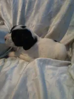 processed/7e9575a0-d274-4bbc-803d-a863c56f2bfc/listing/21e7fc93-097d-410d-b767-e02a9dedbb6b/db2359fe-5a0a-4289-a875-9e6b68091be2