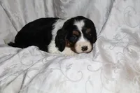 processed/7e9575a0-d274-4bbc-803d-a863c56f2bfc/listing/2c12172c-1350-45ec-8611-136d58fa902c/88f14d2a-9c12-45f0-9de8-30942923ab44