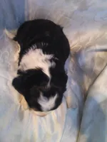 processed/7e9575a0-d274-4bbc-803d-a863c56f2bfc/listing/2c12172c-1350-45ec-8611-136d58fa902c/aa5b3848-8410-4c49-9b72-d647fc04f338