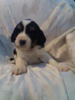 processed/7e9575a0-d274-4bbc-803d-a863c56f2bfc/listing/2c12172c-1350-45ec-8611-136d58fa902c/cc664ae2-7a6a-4179-8100-8cf8850eb5f8