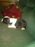 processed/7e9575a0-d274-4bbc-803d-a863c56f2bfc/listing/3d8fa3d1-0d04-4e65-956a-b12b5a8b9369/094c962d-702f-458b-9750-8dbcebb26690