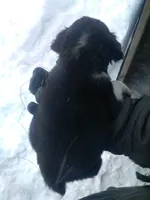 processed/7e9575a0-d274-4bbc-803d-a863c56f2bfc/listing/3f4c2179-e81e-4ddf-80c1-81708458ff9b/54337f67-9480-439d-b204-99e767b6a407