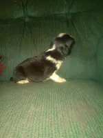 processed/7e9575a0-d274-4bbc-803d-a863c56f2bfc/listing/3f4c2179-e81e-4ddf-80c1-81708458ff9b/9df8ce2a-75bb-4f58-9823-b7fb822bb8ba