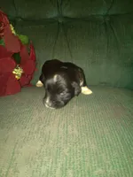 processed/7e9575a0-d274-4bbc-803d-a863c56f2bfc/listing/3f4c2179-e81e-4ddf-80c1-81708458ff9b/bf259674-1c50-411b-a7b3-68874adde5dc