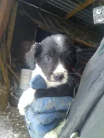 processed/7e9575a0-d274-4bbc-803d-a863c56f2bfc/listing/3f4c2179-e81e-4ddf-80c1-81708458ff9b/cd19e903-d7a1-4429-9c2e-d21ee1d1d157