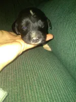 processed/7e9575a0-d274-4bbc-803d-a863c56f2bfc/listing/3f4c2179-e81e-4ddf-80c1-81708458ff9b/d6c3135b-11d6-4cea-80c7-6c8fdd9eb6f8