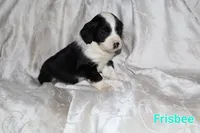 processed/7e9575a0-d274-4bbc-803d-a863c56f2bfc/listing/41c34cd6-5b5b-432c-b5cc-cda69dd16ed5/455dbaac-6807-49ae-ba8d-bcdd05d5f214