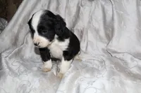 processed/7e9575a0-d274-4bbc-803d-a863c56f2bfc/listing/41c34cd6-5b5b-432c-b5cc-cda69dd16ed5/58539446-53ff-4684-bc07-22a81f5341f1