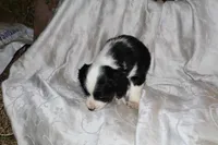 processed/7e9575a0-d274-4bbc-803d-a863c56f2bfc/listing/41c34cd6-5b5b-432c-b5cc-cda69dd16ed5/9573deaf-577a-4ffd-a1d5-8bcb8953601b