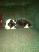 processed/7e9575a0-d274-4bbc-803d-a863c56f2bfc/listing/41c34cd6-5b5b-432c-b5cc-cda69dd16ed5/bafe0006-1e1e-43e6-a4d0-e108f77a5d8f