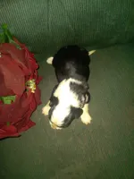 processed/7e9575a0-d274-4bbc-803d-a863c56f2bfc/listing/41c34cd6-5b5b-432c-b5cc-cda69dd16ed5/e86531c7-c333-476e-9a7d-c6311c9974d6