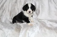 processed/7e9575a0-d274-4bbc-803d-a863c56f2bfc/listing/41c34cd6-5b5b-432c-b5cc-cda69dd16ed5/f0f32fb7-73ca-4def-9c4f-db720caf1a61