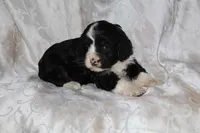 processed/7e9575a0-d274-4bbc-803d-a863c56f2bfc/listing/46729902-5d47-4533-96a8-2525f6142211/b6a25458-5065-4954-98a1-ea0bb45c76ec