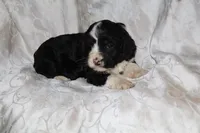 processed/7e9575a0-d274-4bbc-803d-a863c56f2bfc/listing/46729902-5d47-4533-96a8-2525f6142211/e977a038-6c5c-4575-b480-c14d0b6d8a6b