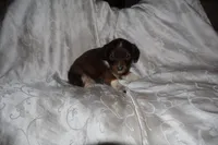 processed/7e9575a0-d274-4bbc-803d-a863c56f2bfc/listing/86704400-7094-4622-9c12-f4c4aeed0819/8a036ce5-7cf8-413a-ac57-bb9d3702b613