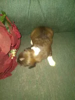 processed/7e9575a0-d274-4bbc-803d-a863c56f2bfc/listing/86704400-7094-4622-9c12-f4c4aeed0819/c51889ca-f2d9-4d85-bac4-622141c256c7