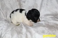 processed/7e9575a0-d274-4bbc-803d-a863c56f2bfc/listing/8cdf7389-9ad9-4e23-8d07-fb2d424389e3/42185c5a-7e5c-4c1f-9a8a-9ff82856feba