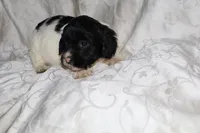 processed/7e9575a0-d274-4bbc-803d-a863c56f2bfc/listing/8cdf7389-9ad9-4e23-8d07-fb2d424389e3/d161860e-300e-4745-8989-99569b53cc25