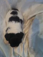 processed/7e9575a0-d274-4bbc-803d-a863c56f2bfc/listing/8cdf7389-9ad9-4e23-8d07-fb2d424389e3/d1cde535-81e4-4c5e-8de4-c22545c52cbc