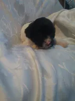 processed/7e9575a0-d274-4bbc-803d-a863c56f2bfc/listing/8cdf7389-9ad9-4e23-8d07-fb2d424389e3/e9b2bec4-94b5-417a-9fc7-8e52cf546a1b