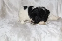 processed/7e9575a0-d274-4bbc-803d-a863c56f2bfc/listing/9339943b-6341-419c-8570-56c40330bf2a/63d35591-f5a6-423f-8e6b-3015caa97600